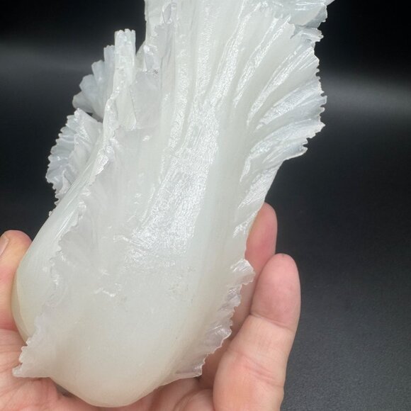 Carved White Jade Cabbage Chinese Wealth Fortune Bok Choy Sculpture Ornament Hom - Picture 10 of 14